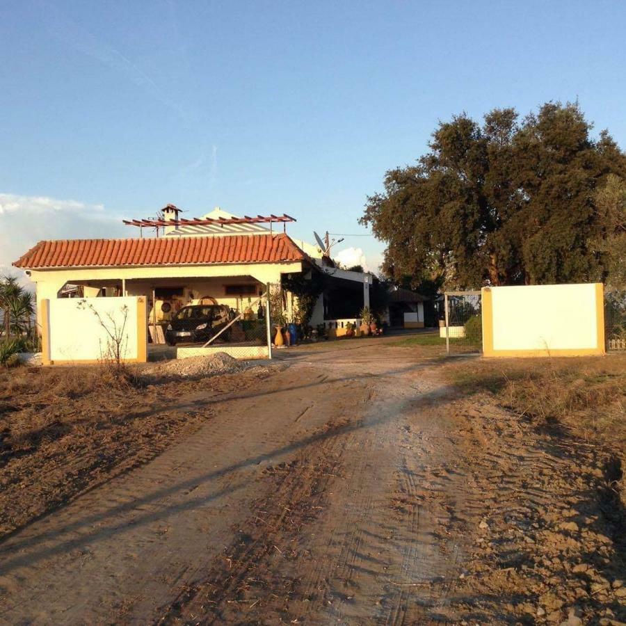 Pensjonat Monte Ramos Ferreira Do Alentejo Zewnętrze zdjęcie